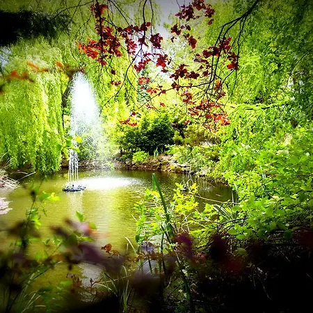 阿兹尔酒店 酒店 3*